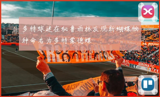 多特球迷在秘鲁雨林发现新蝴蝶物种命名为多特蒙德蝶